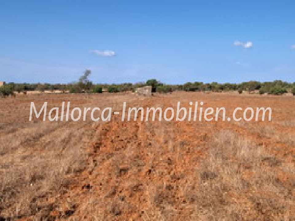 GRUNDSTÜCK MIT PANORAMABLICK