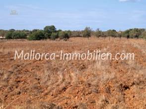 Thumbnail von GRUNDSTÜCK MIT PANORAMABLICK