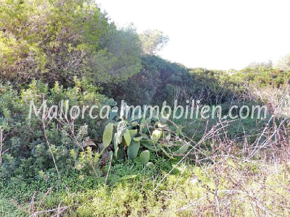 GRUNDSTÜCK IN RUHIGER LAGE NAHE DEM MEER UND DEM STRAND