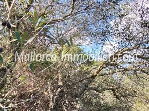 Thumbnail von GRUNDSTÜCK IN RUHIGER LAGE NAHE DEM MEER UND DEM STRAND