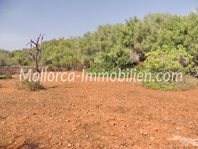 BAUGRUNDSTÜCK MIT PANORAMABLICK