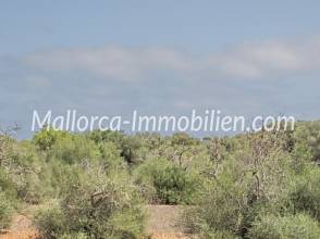 Thumbnail von BAUGRUNDSTÜCK MIT PANORAMABLICK