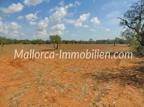 Thumbnail von GRUNDSTÜCK MIT PANORAMABLICK