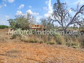 Thumbnail von GRUNDSTÜCK MIT PANORAMABLICK