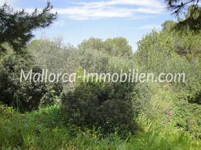 Thumbnail von BAUGRUNDSTÜCK IN DER HAFENANLAGE VON CALA D'OR