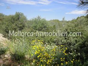 Thumbnail von BAUGRUNDSTÜCK IN DER HAFENANLAGE VON CALA D'OR