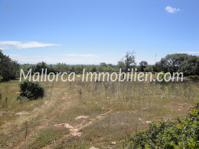 1 - 2 oder 3 GRUNDSTÜCKE ZUM BAUEN MIT BLICK ZUM MEER