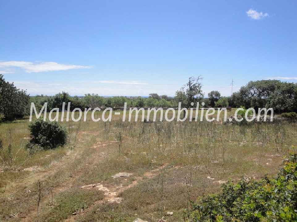 1 - 2 oder 3 GRUNDSTÜCKE ZUM BAUEN MIT BLICK ZUM MEER