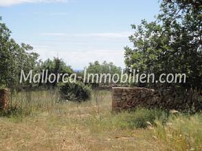 Thumbnail von 1 - 2 oder 3 GRUNDSTÜCKE ZUM BAUEN MIT BLICK ZUM MEER