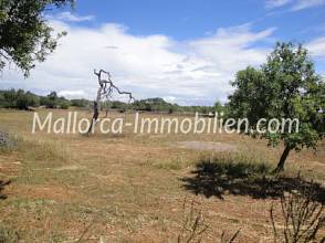 Thumbnail von 1 - 2 oder 3 GRUNDSTÜCKE ZUM BAUEN MIT BLICK ZUM MEER