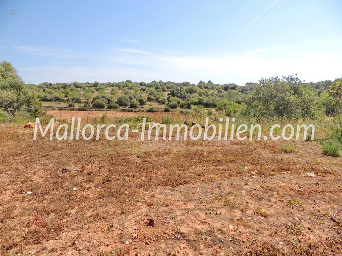 GRUNDSTÜCK MIT MEERBLICK