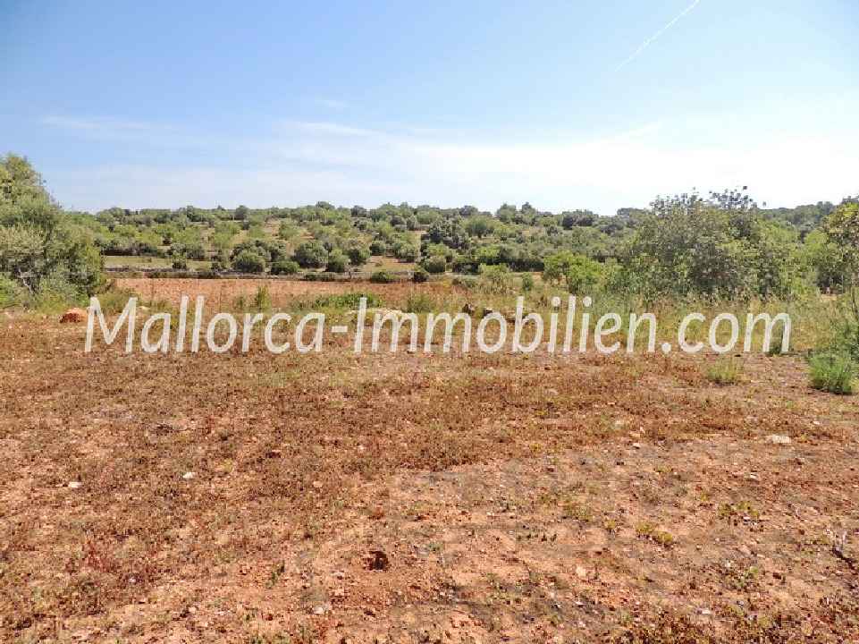 GRUNDSTÜCK MIT MEERBLICK