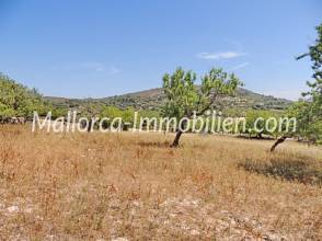 Thumbnail von GRUNDSTÜCK MIT MEERBLICK