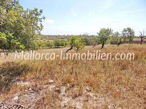 Thumbnail von GRUNDSTÜCK MIT MEERBLICK