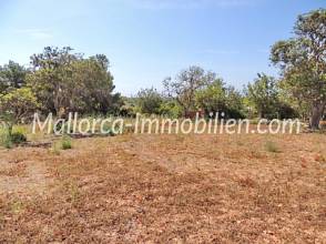 Thumbnail von GRUNDSTÜCK MIT MEERBLICK