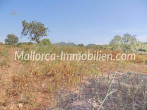 Thumbnail von GRUNDSTÜCK MIT MEERBLICK