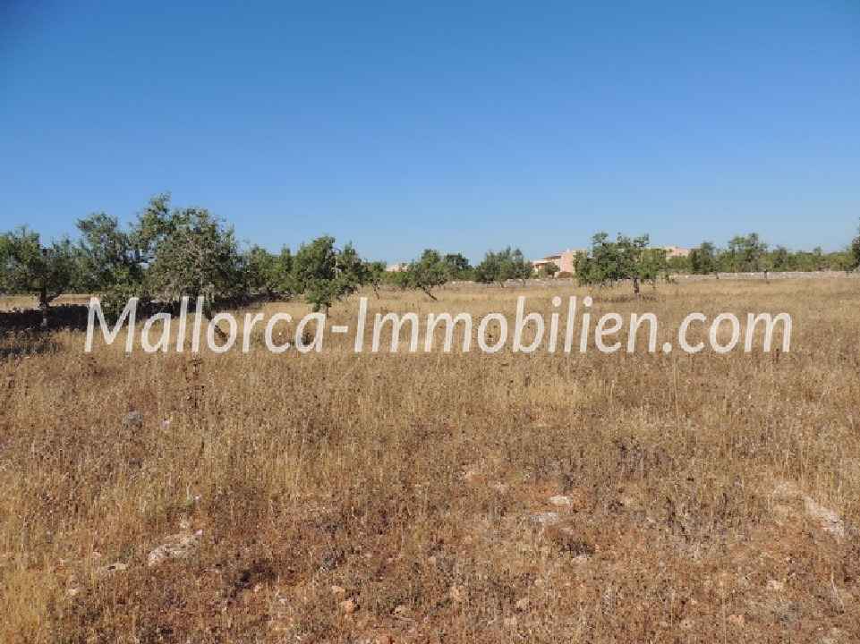 BAUGRUNDSTÜCK MIT PANORAMABLICK UND NAHE ZUM MEER