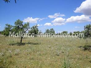 Thumbnail von BAUGRUNDSTÜCK MIT PANORAMABLICK UND NAHE ZUM MEER