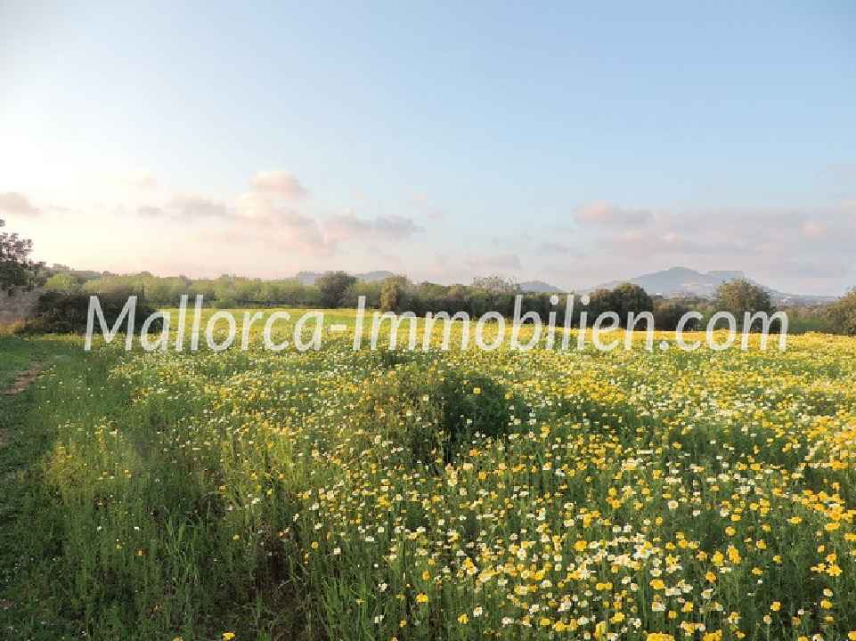 GRUNDSTÜCK MIT MEERWEITBLICK VOM 1.STOCK