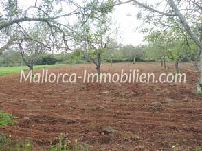 Thumbnail von GRUNDSTÜCK MIT MEERWEITBLICK VOM 1.STOCK