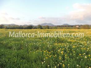 Thumbnail von GRUNDSTÜCK MIT MEERWEITBLICK VOM 1.STOCK