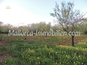 Thumbnail von GRUNDSTÜCK MIT MEERWEITBLICK VOM 1.STOCK