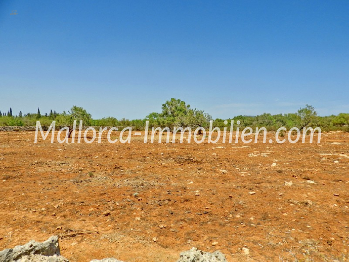 BAUGRUNDSTÜCK IN WUNDERSCHÖNER LAGE