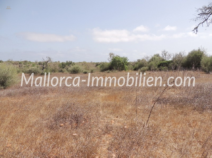 BAUGRUNDSTÜCK MIT BLICK ÜBER FELDER UND WIESEN