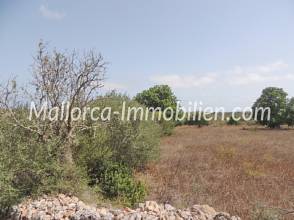 Thumbnail von BAUGRUNDSTÜCK MIT BLICK ÜBER FELDER UND WIESEN