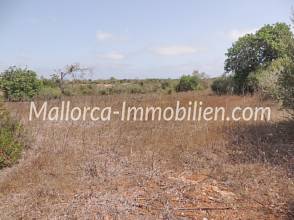 Thumbnail von BAUGRUNDSTÜCK MIT BLICK ÜBER FELDER UND WIESEN