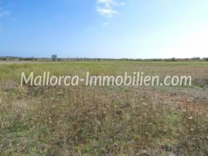 Thumbnail von BAUGRUNDSTÜCK NAHE DEN STRÄNDEN CALA LLOMBARDS UND CALA SALMONIA