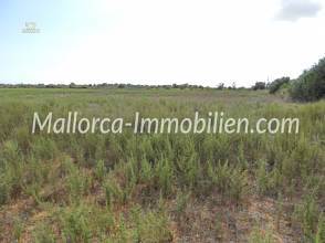 Thumbnail von BAUGRUNDSTÜCK NAHE DEN STRÄNDEN CALA LLOMBARDS UND CALA SALMONIA