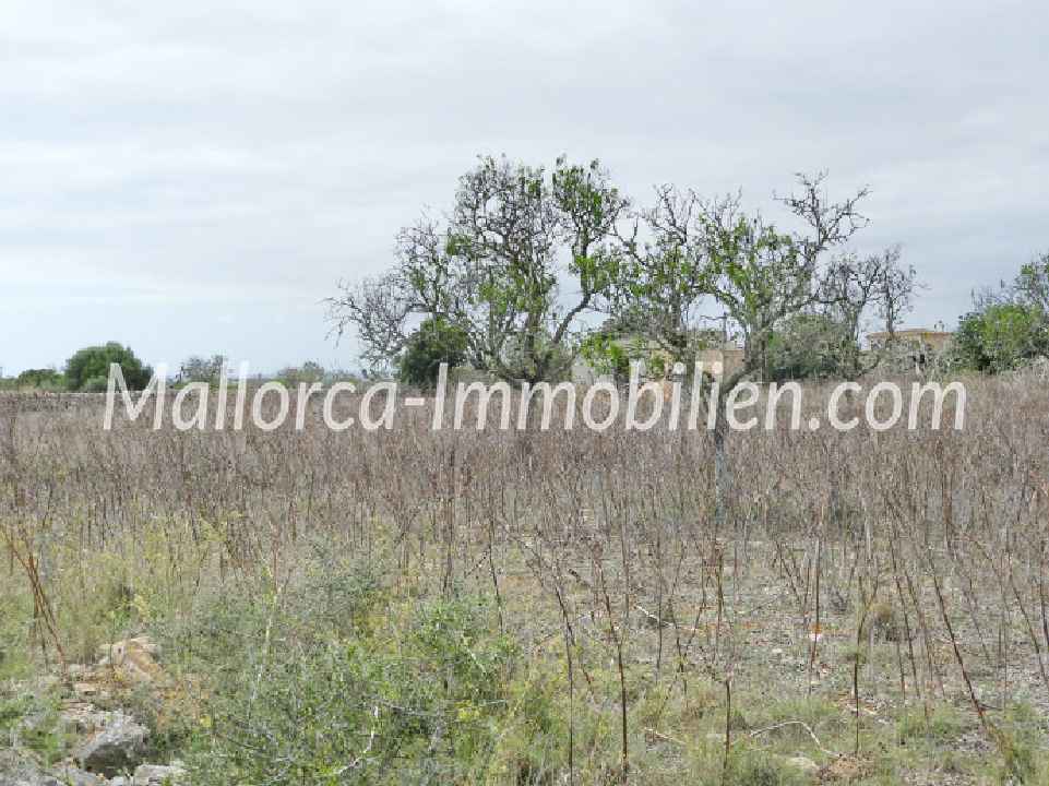 BAUGRUNDSTÜCK MIT MEERWEITBLICK