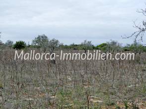 Thumbnail von BAUGRUNDSTÜCK MIT MEERWEITBLICK