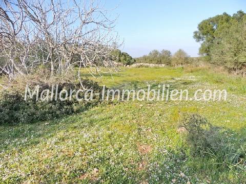 ROMANTISCH GELEGENES GRUNDSTÜCK