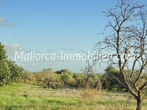 Thumbnail von GRUNDSTÜCK MIT MEERWEITBLICK