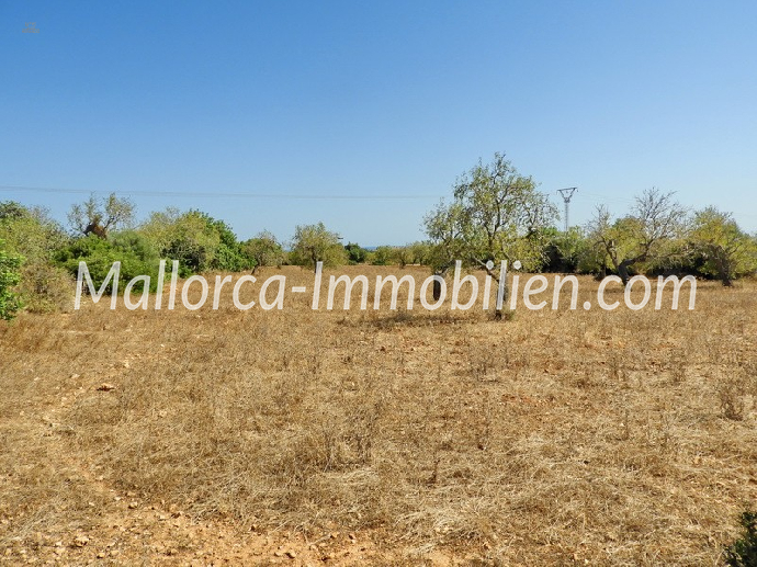 GUT GESCHNITTENES GRUNDSTÜCK MIT MEERBLICK