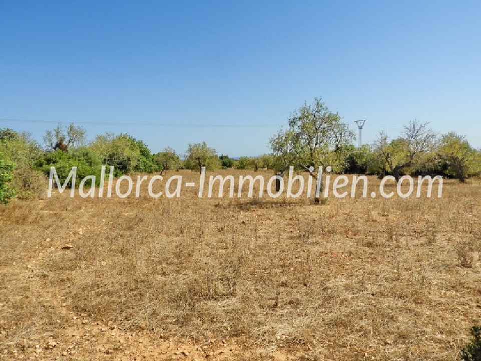 GUT GESCHNITTENES GRUNDSTÜCK MIT MEERBLICK