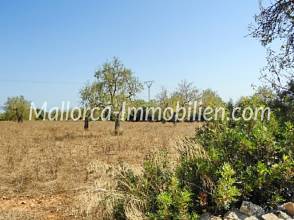 Thumbnail von GUT GESCHNITTENES GRUNDSTÜCK MIT MEERBLICK