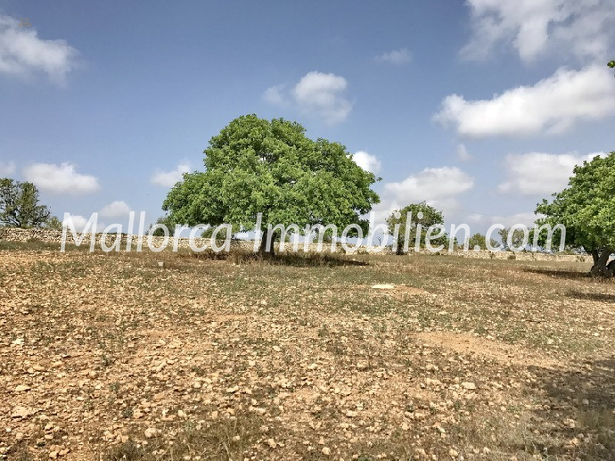 GRUNDSTÜCK MIT MEERBLICK