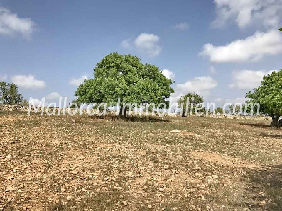 GRUNDSTÜCK MIT MEERBLICK