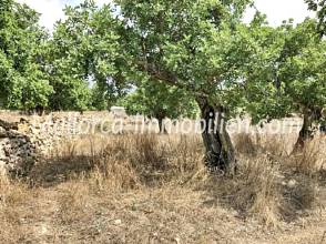 Thumbnail von GRUNDSTÜCK MIT MEERBLICK