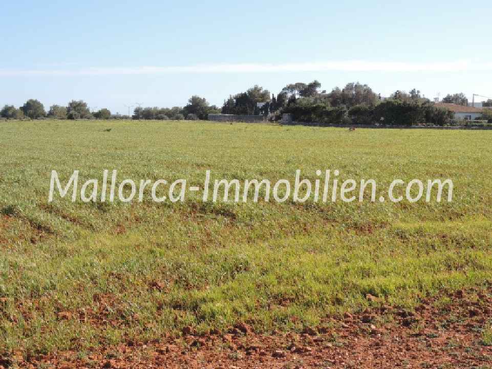 GRUNDSTÜCK FÜR 2 HÄUSER MIT BERGBLICK