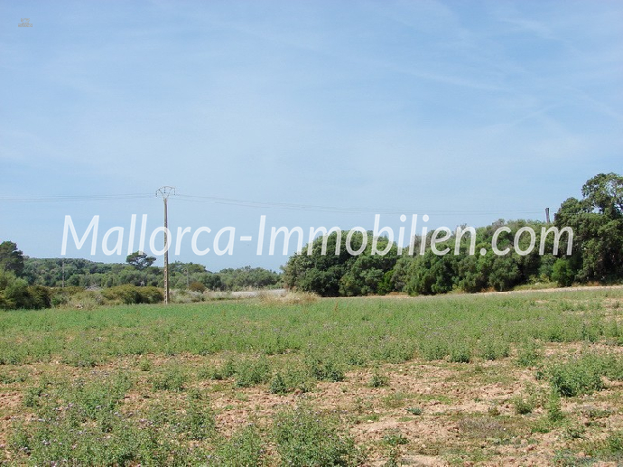 2 GRUNDSTÜCKE NEBENEINANDERLIEGEND MIT PANORAMABLICK