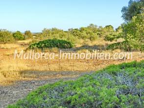 Thumbnail von GRUNDSTÜCK MIT MEERBLICK