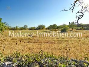 Thumbnail von GRUNDSTÜCK MIT MEERBLICK