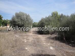 Thumbnail von GRUNDSTÜCK FÜR 3 HÄUSER NAHE DEM STRAND