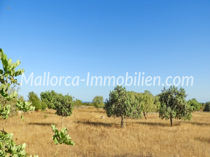 GRUNDSTÜCK IN EXPONIERTER LAGE MIT TRAUMHAFTEM MEERBLICK