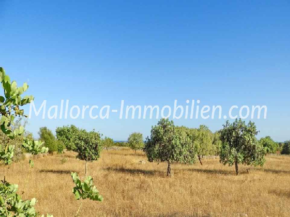 GRUNDSTÜCK IN EXPONIERTER LAGE MIT TRAUMHAFTEM MEERBLICK