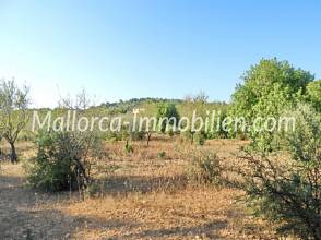 Thumbnail von WEITLÄUFIGES GRUNDSTÜCK FÜR AUTARKES LEBEN AUF DEM LAND